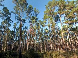 117 E Marion St, Palatka, FL 32177