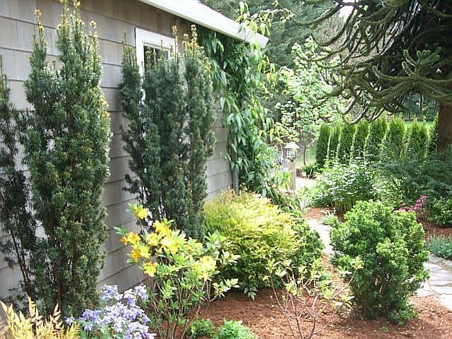 Cottage gardens