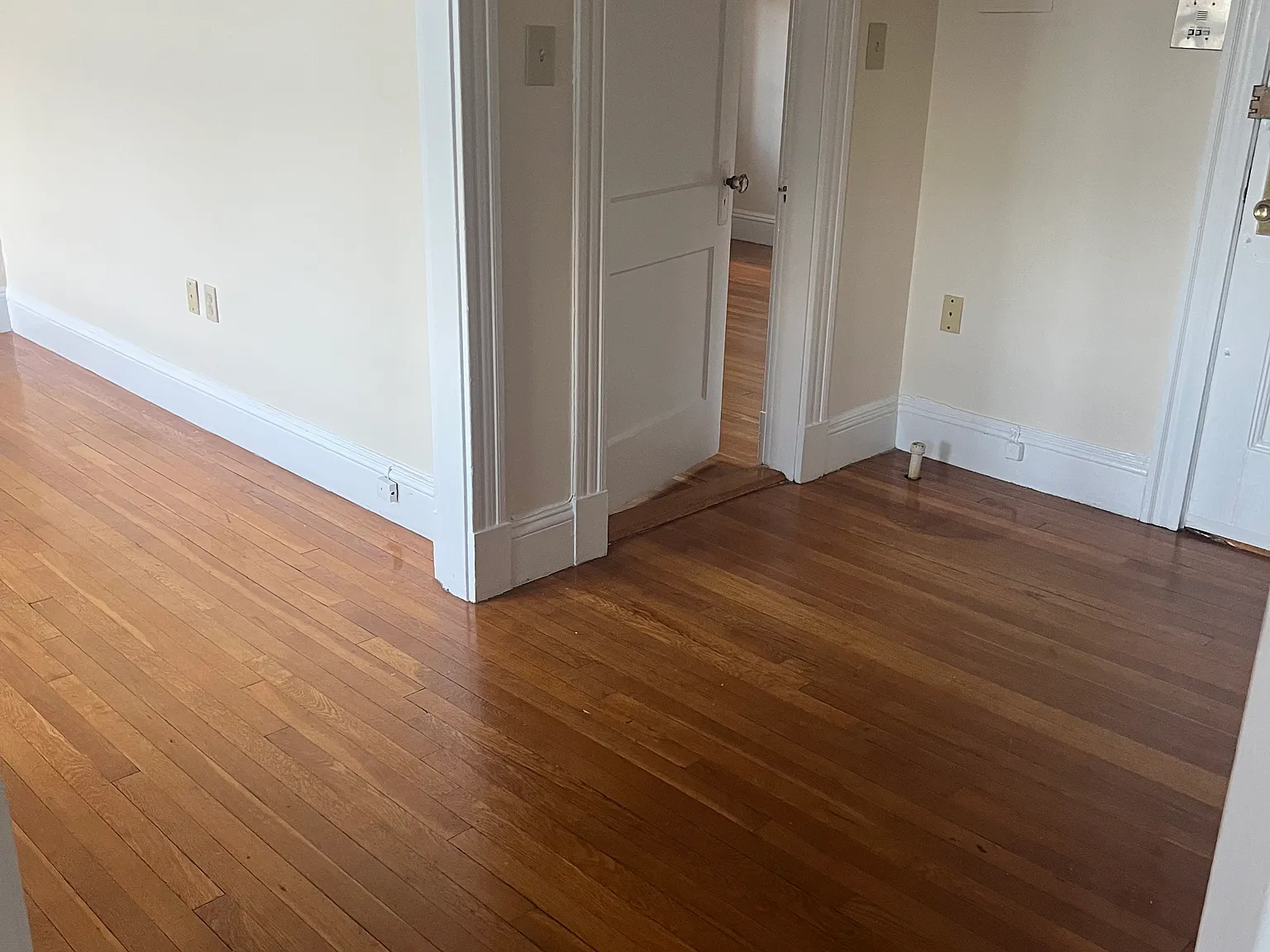 37-41 Wendell St — Photo 3