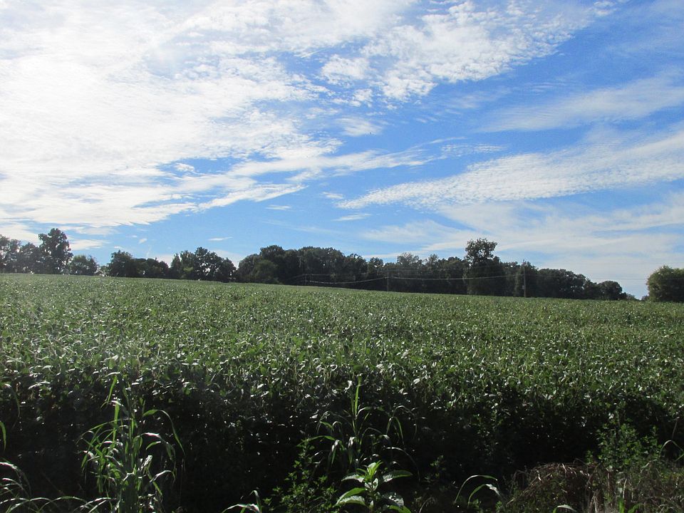 2nd image of Lot 2 Balls Mill Road