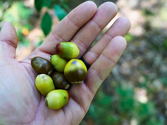4th image of Tbd Dry Gulch Rd