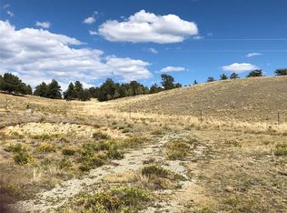 252 Cathy Dr, Hartsel, CO 80449