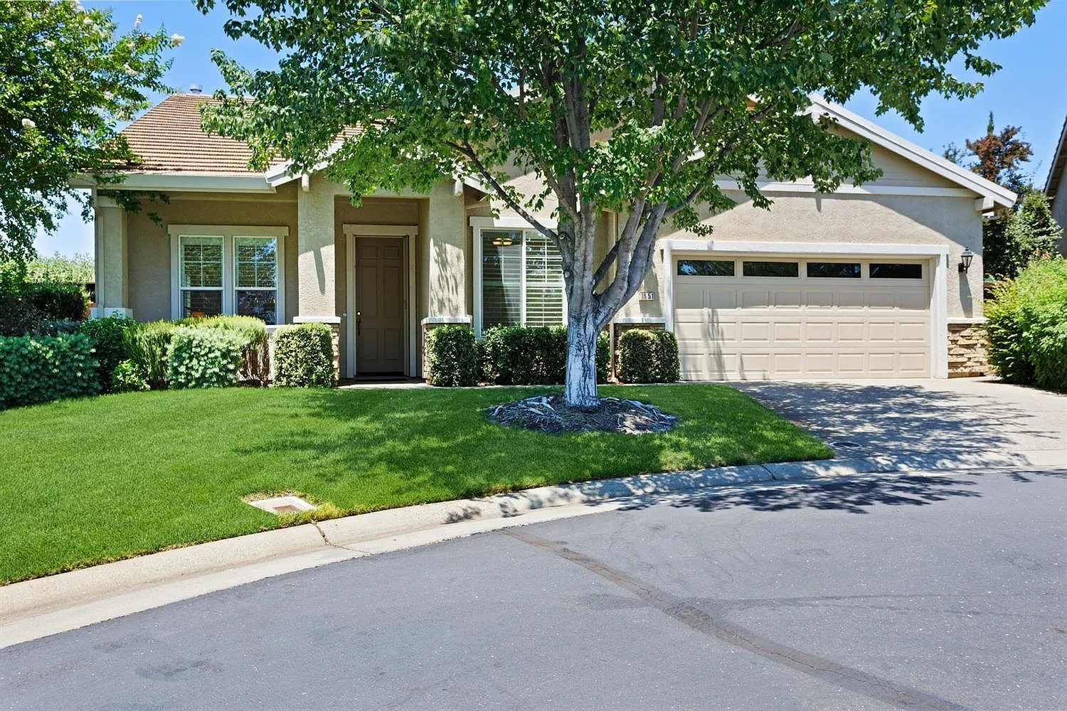 3551 Saddlepeak Ct photo 1