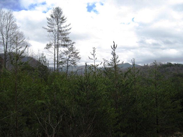 1st image of 4 Buena Vista Dr