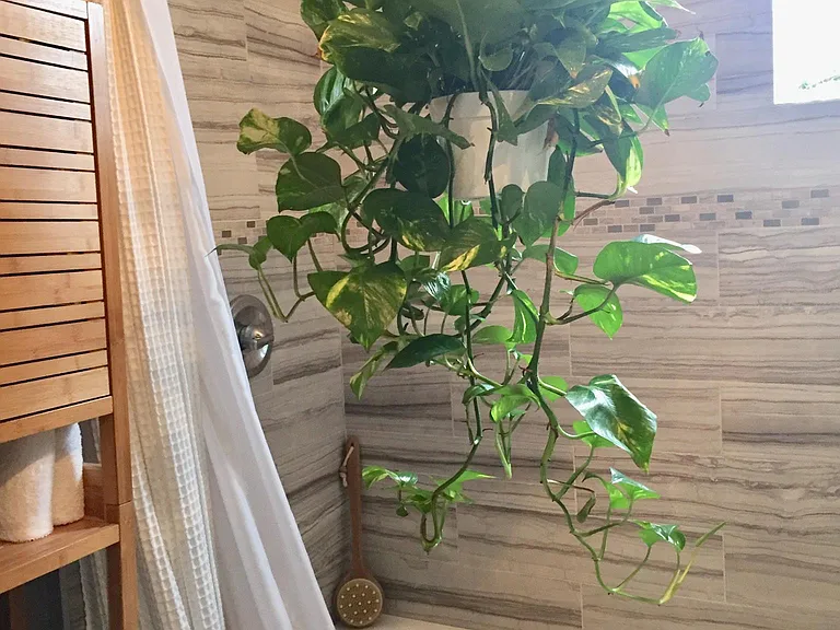 Restroom
