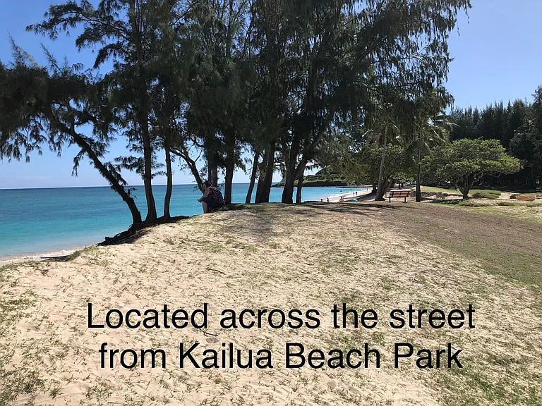 431 & 433 Kawailoa Road (Albert & Maureen) — Photo 52