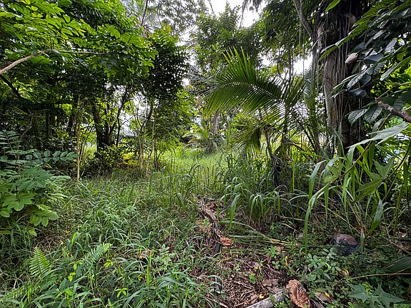 5th image of Vanda Dr Lot 10