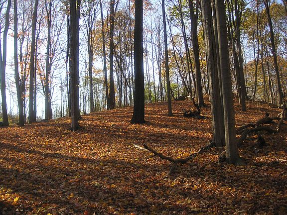 3rd image of 5 Lower Hook Road