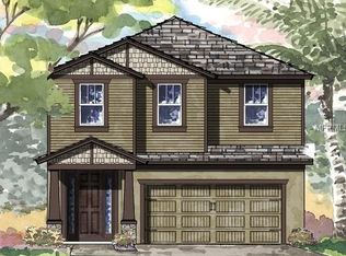 4134 Welling Ter, Land O Lakes, FL 34638