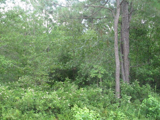 2nd image of 0 Robersonville Road