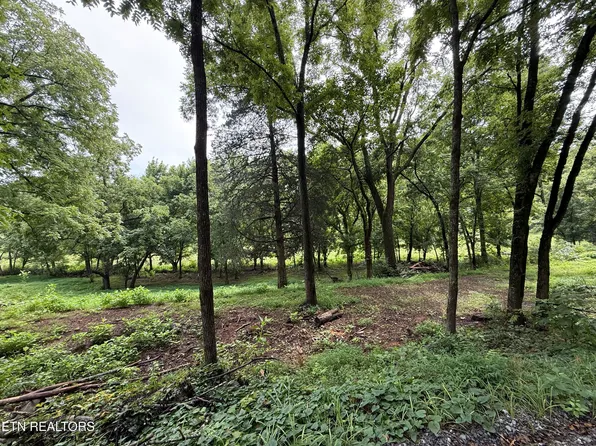 1 Mitchell Rd, New Market, TN 37820