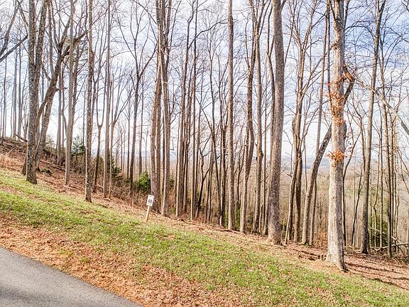 5th image of 0 Winding View Dr Lot 40