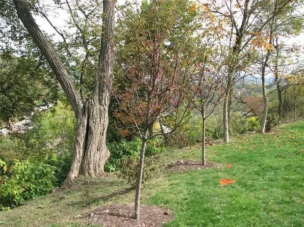 2643 Fernwald Rd, Squirrel Hill, PA 15217
