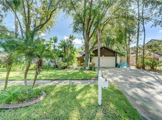 3213 Taragrove Dr, Tampa, FL 33618