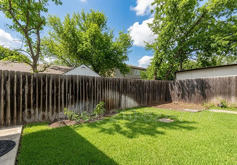 15410 Wood Sorrel — Photo 31