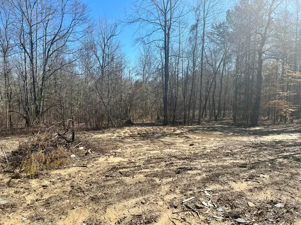 1155 County Road 4009, Crane Hill, AL 35053