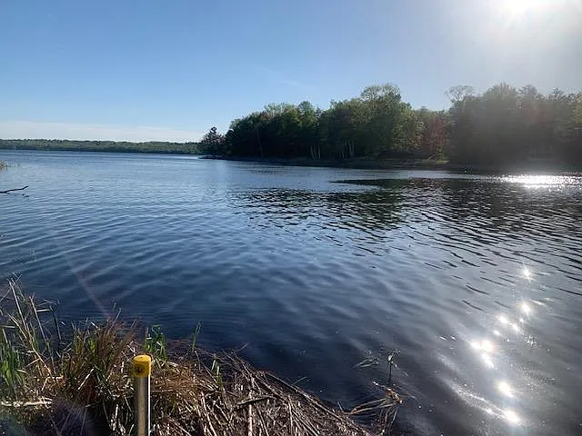 View from the dock
