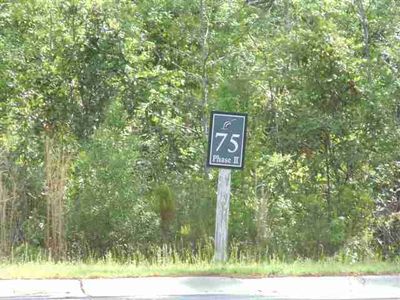 LOT 75 Whispering Pines Ct. LOT 75 BELLWOOD LANDING, Murrells Inlet, SC, 29576