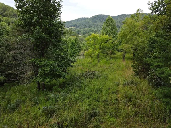 Downings Creek Rd, Hayesville, NC 28904