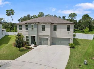 35909 Saddle Palm Way, Zephyrhills, FL 33541