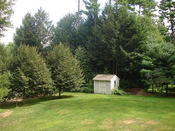 Back Yard-view from deck