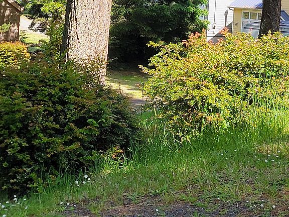 2nd image of 2714 Tent St