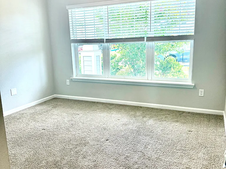 142 Ness Cir — Photo 11