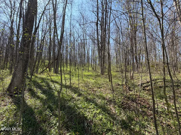 Adj 216 Rock Cut Rd, Central City, PA 15926