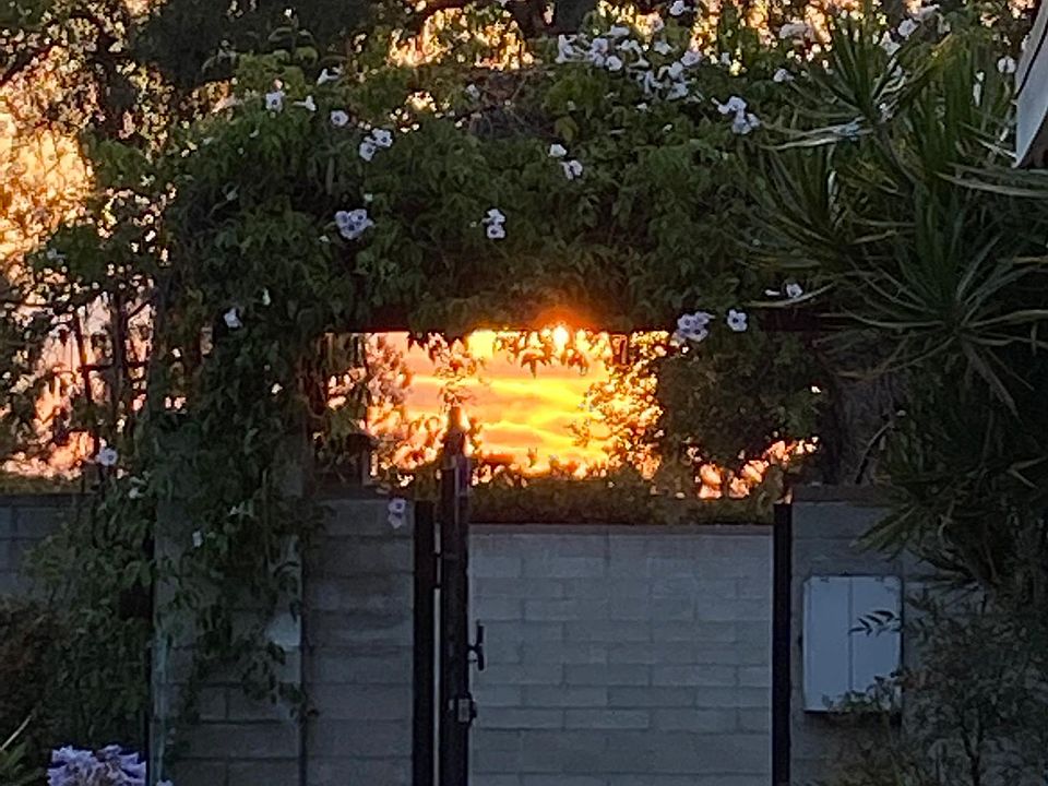 1st image of 231 Alameda Blvd