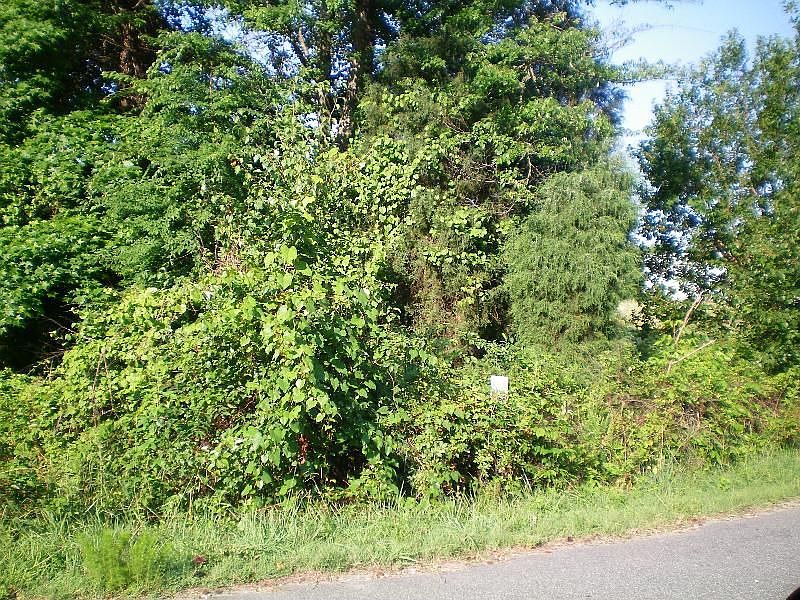 2nd image of 114 Laura Rd