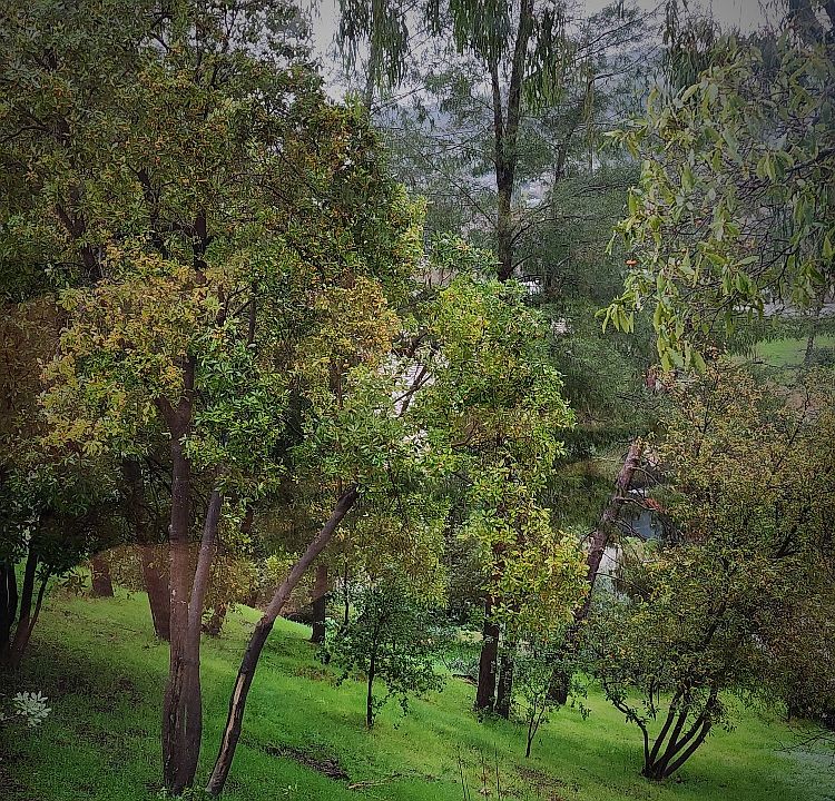 The view from the private patio