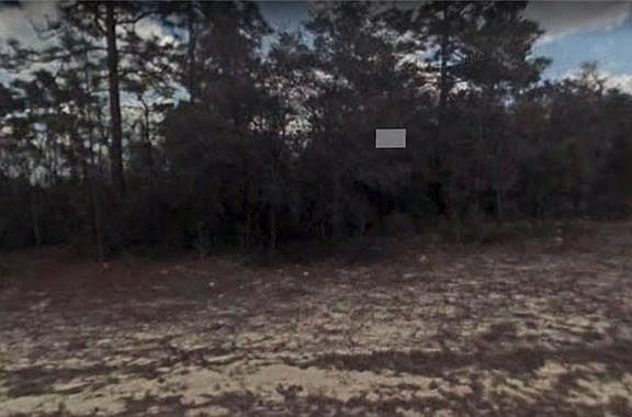 4th image of 8983 N Barbados Way