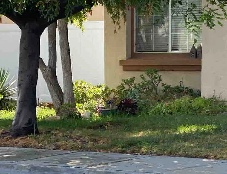 4753 Ventana Way — Photo 43