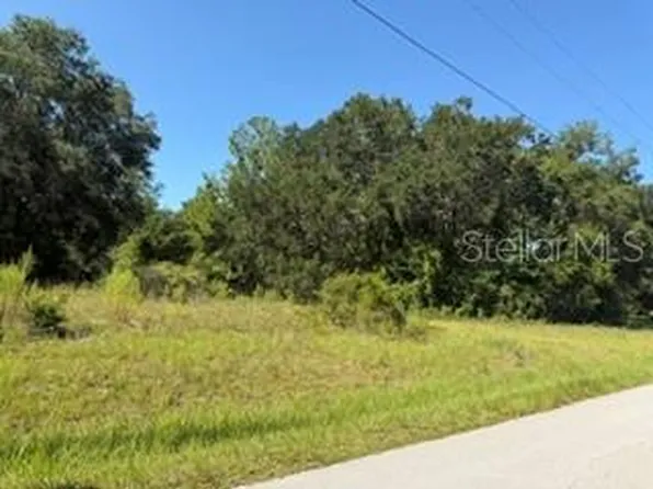 TBD SE 59TH PLACE LOT 10, OCKLAWAHA, FL 32179