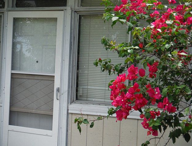 1st image of 701 Hallam St