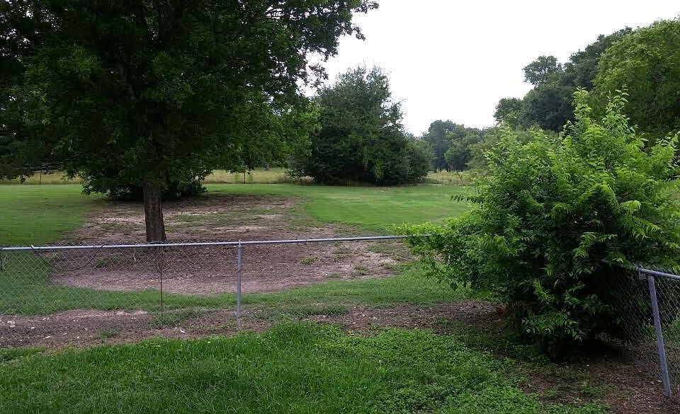 back yard