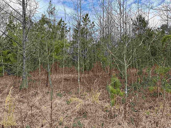 4th image of 430 Pumpkin Center Cir