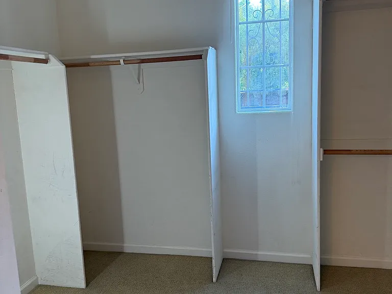 3001 Sweetviolet Dr — Photo 8