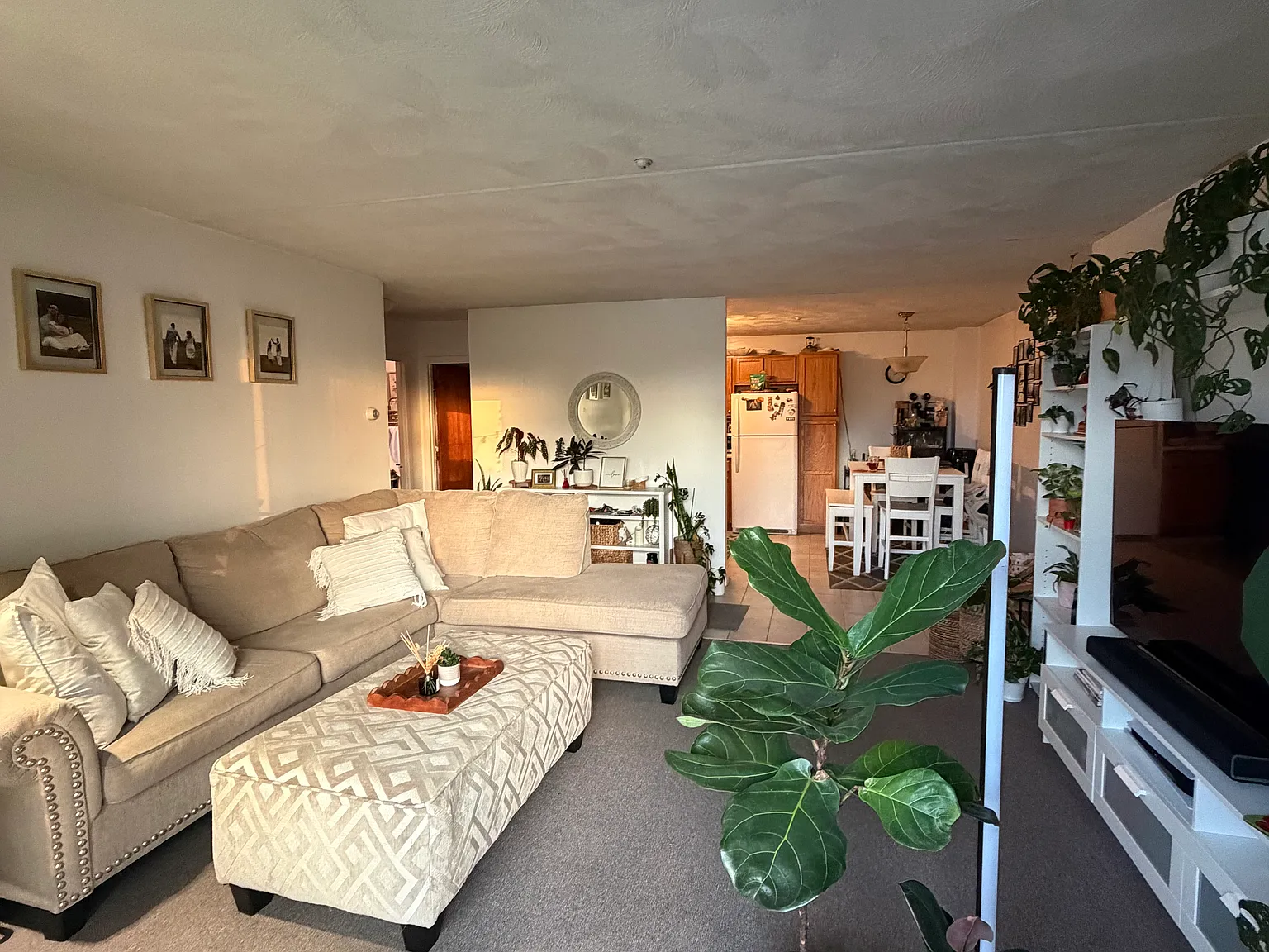 2 bed, 1.0 bath, 9999 sqft, $2,800 — Photo 2