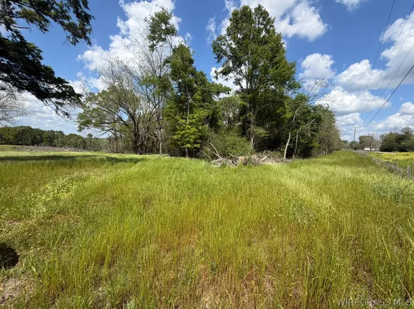 0 Highway 125, Brundidge, AL 36010