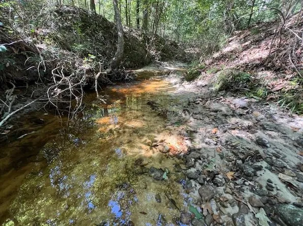 Lloyd Mill Rd, Red Level, AL 36474