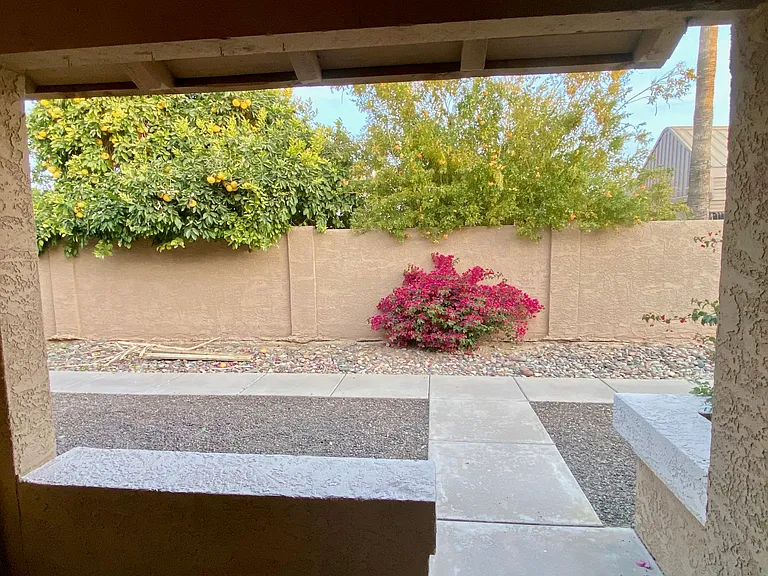 502 W Tonopah Dr #6 — Photo 13