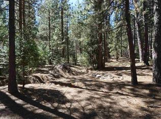 53 Pineleaf Cir, Meadow Valley, CA 95956