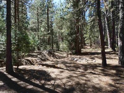 53 Pineleaf Cir, Meadow Valley, CA, 95956