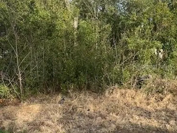 SE 91st Ct Lot 10, Summerfield, FL 34491