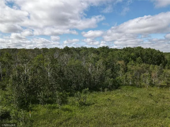 180th Ave NW, Newfolden, MN 56738