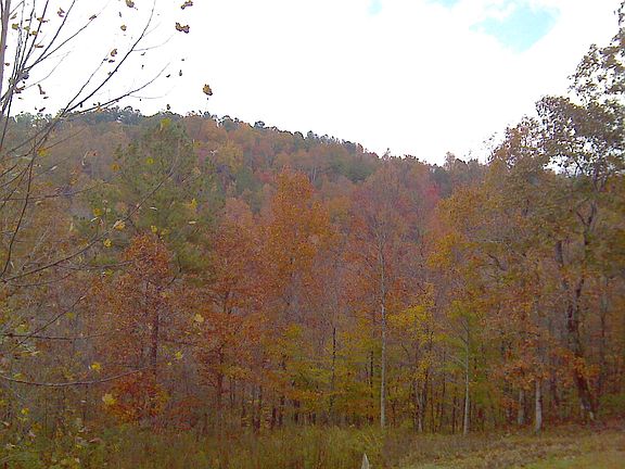 View from the shop driveway.