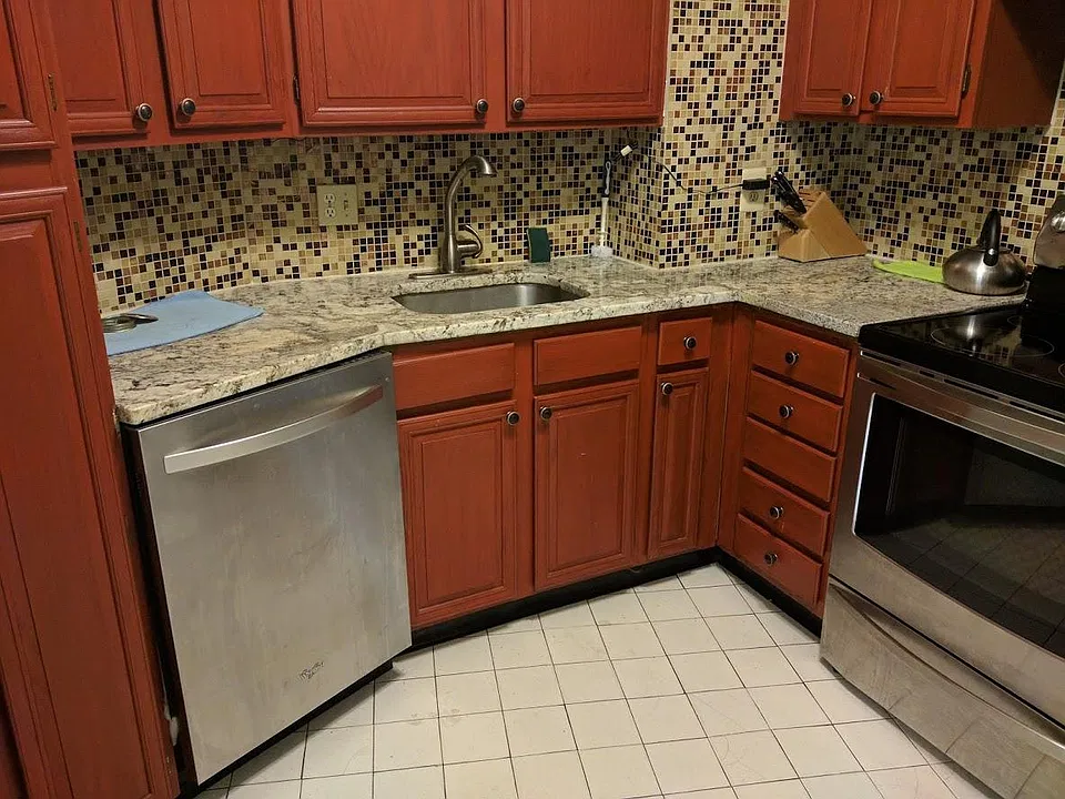 Kitchen Dish Washer
