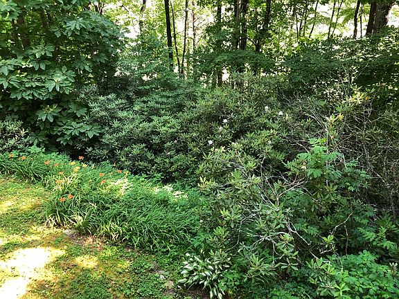 View From Front Door