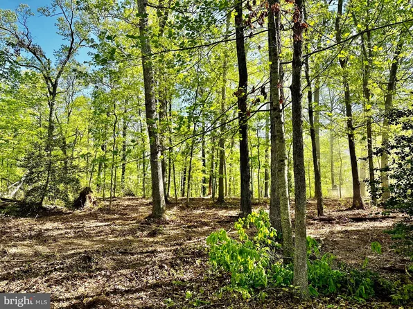LOT Springs Rd #A, Warrenton, VA 20186